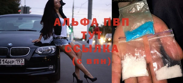 индика Ладушкин