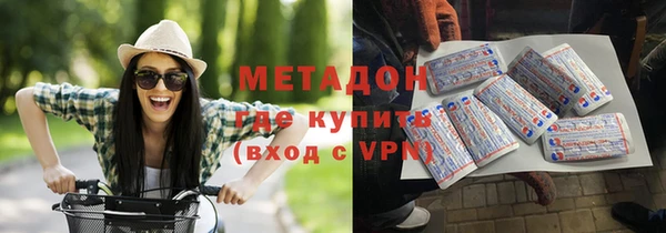 индика Ладушкин
