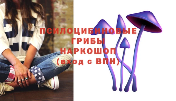 индика Ладушкин