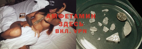 индика Ладушкин