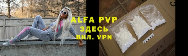 индика Ладушкин