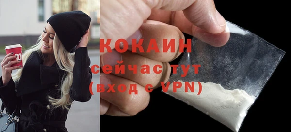 крисы Лабытнанги