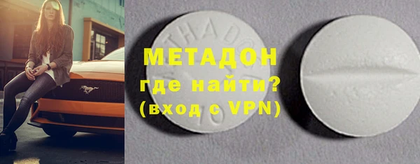 индика Ладушкин