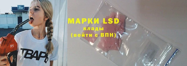 индика Ладушкин