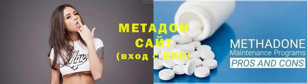 индика Ладушкин