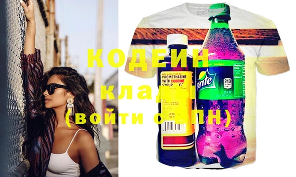 индика Ладушкин