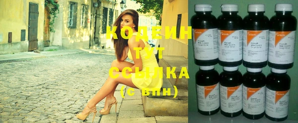 индика Ладушкин