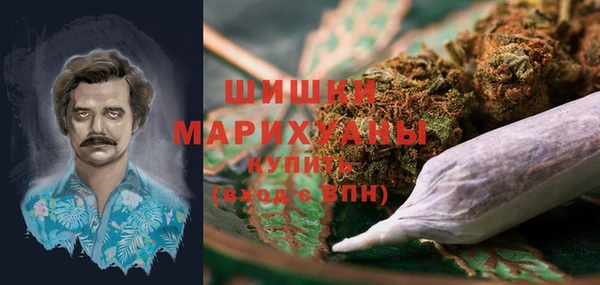 индика Ладушкин