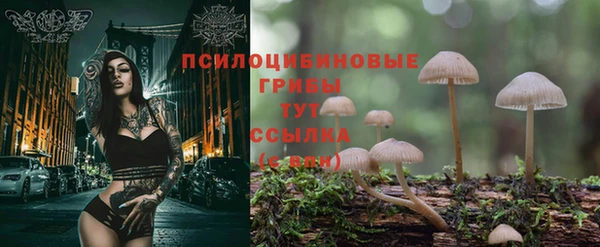 кокс Гусиноозёрск
