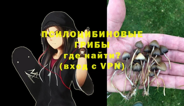 крисы Лабытнанги