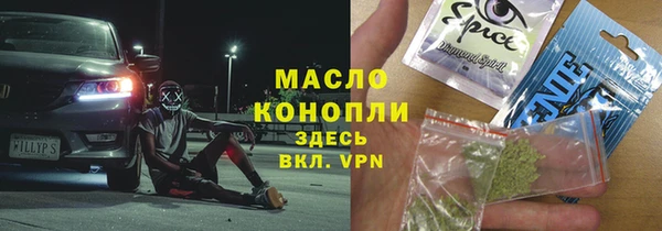 индика Ладушкин