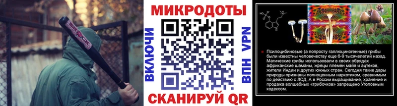купить наркотик  Городище  Галлюциногенные грибы Psilocybe 